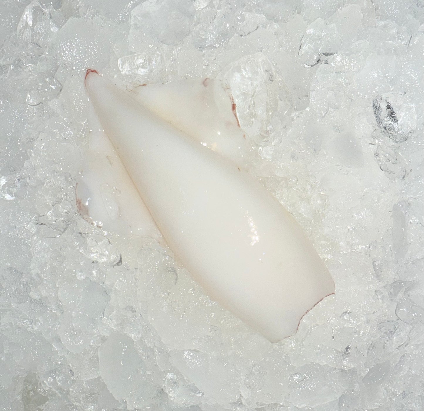 (متنضف) كاليماري بلدي