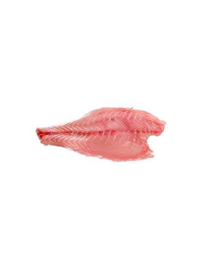 قشر بياض (فيليه)