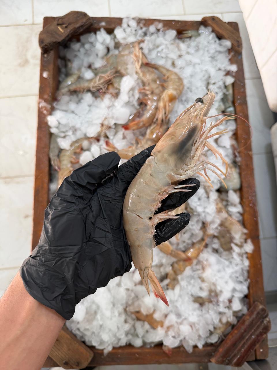 جمبري سوبر جامبو