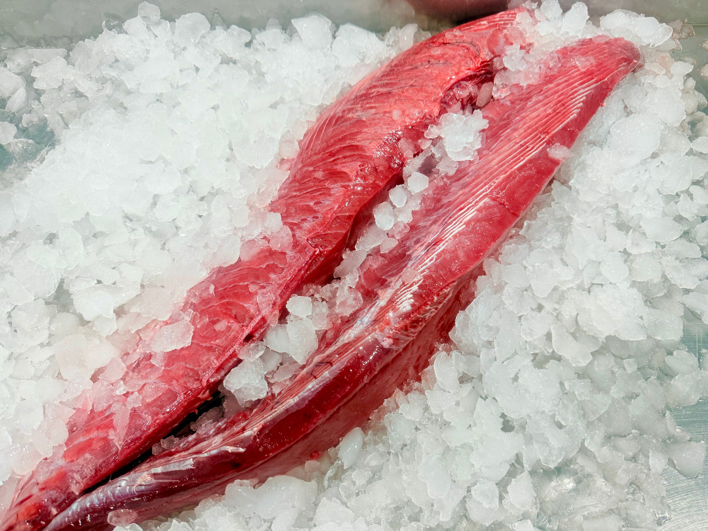 سمك تونه (فيليه)