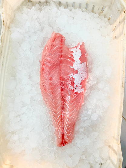 قشر بياض (فيليه)