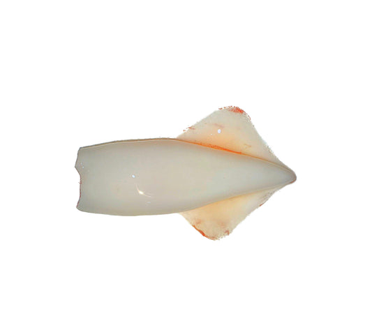 (متنضف) كاليماري بلدي